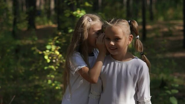 Group of children. Young girlfriends have fun outdoors. Summer.