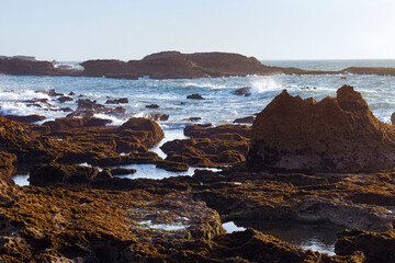 View of the volcanic shore of the Atlantic Ocean in the area of the city of Essaouira in Morocco on a sunny summer day.