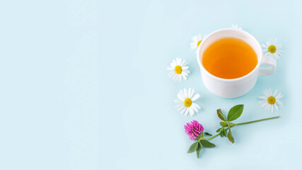 Obraz na płótnie Canvas Cup of herbal tea with flowers chamomile on blue background, with copy space for text. Organic floral, green asian tea. Herbal medicine at seasonal diseases and treatment of colds, flu, heat