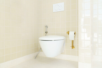 Fototapeta na wymiar Wall-mounted toilet in the toilet room with ceramic tiles design