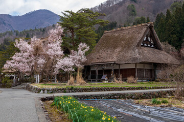 世界遺産 白川郷 春