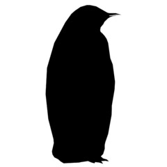 penguin bird 