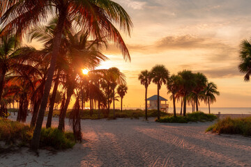 Palm trees at sunrise in beautiful tropical beach, Miami Beach, Florida