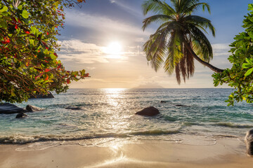Palm trees at sunset in beautiful tropical beach