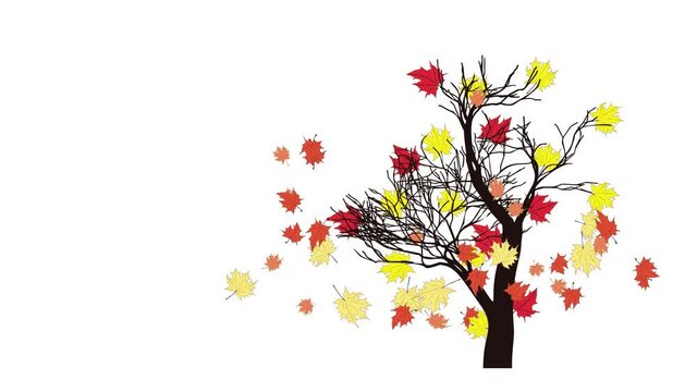 Cartoon autumn maple tree and falling leaves