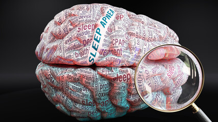 Sleep apnea in human brain, a concept showing hundreds of crucial words related to Sleep apnea projected onto a cortex to fully demonstrate broad extent of this condition, 3d illustration - obrazy, fototapety, plakaty