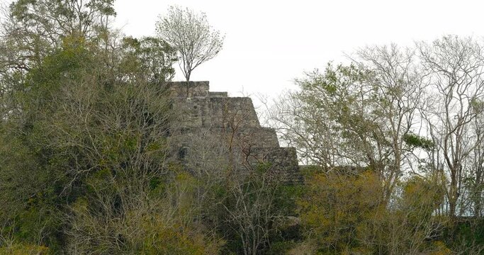 Zona Arqueol&oacute;gica de la ciudad Maya de Calakmul, Campeche, M&eacute;xico.
