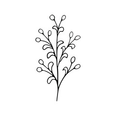 A hand-drawn set of black sketches of isolated flowers and leaves on a white background. A vector description of a doodle of flowers and leaves.