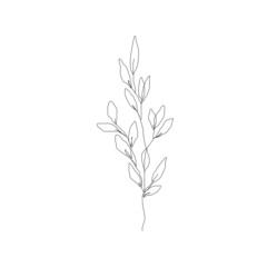 Leaf Branch Line Art Drawing. Leaves Line Drawing Illustration. Botanical Print Minimalist Style. Vector EPS 10