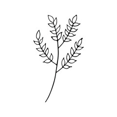 A hand-drawn set of black sketches of isolated flowers and leaves on a white background. A vector description of a doodle of flowers and leaves.