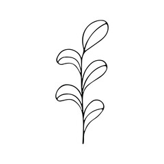 A hand-drawn set of black sketches of isolated flowers and leaves on a white background. A vector description of a doodle of flowers and leaves.