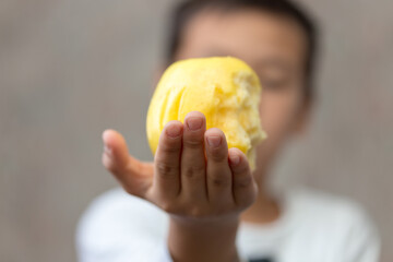 A child holding an apple in his hands