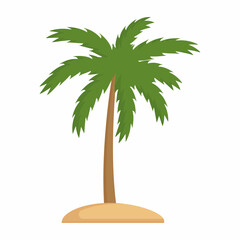 isolated palm tree on a white background, color vector illustration
