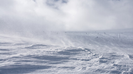 Snowy slope surface. Selective focus. Winter background. - obrazy, fototapety, plakaty