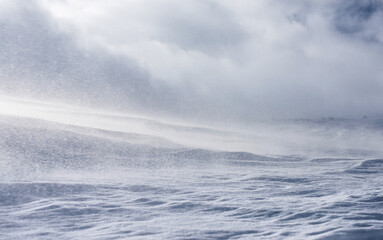 Snow surface under strong wind. Selective focus. Winter background. - obrazy, fototapety, plakaty