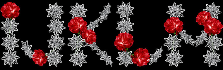Floral font Alphabet  I;  J;  K;  L;  M; made from fresh red flowers carnation and openwork white flowers isolated on a black background. Font collection. For decorating ideas.