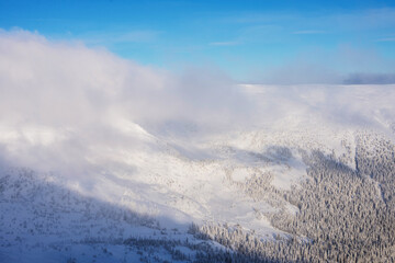 Fototapeta premium The mountain slope is overgrown with trees and covered with snow. Partially hidden by haze.