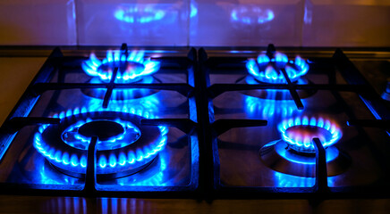 Fototapeta na wymiar The gas burns in the burner of a kitchen stove 