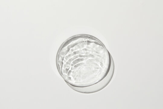 petri dish with water and ripple in grey background