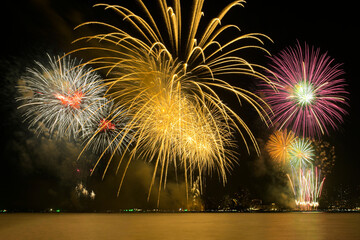 Colorful fireworks celebration and the city night light background.