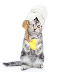 Funny kitten with towel on it head rubber duck and bath brush. isolated on white background
