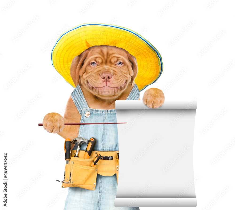 Poster Funny puppy wearing overalls with tool belt points on empty list. Isolated on white background