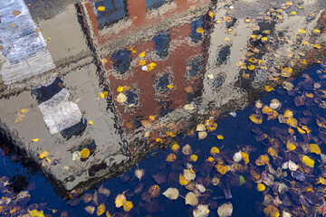 Reflection of a building in a puddle on the asphalt. A puddle with many fallen leaves.