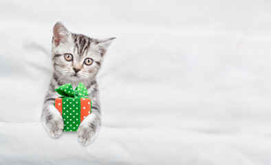Cute tabby kitten lying under white blanket and holding a gift box. Top down view. Empty space for...