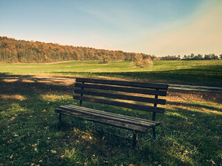 Fototapeta premium A bench for rest stands in a clearing, around a field and a forest, a picturesque place, autumn mood