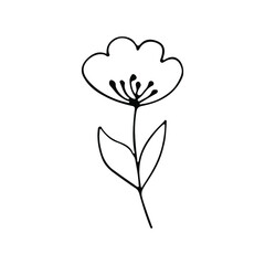 A hand-drawn set of black sketches of isolated flowers and leaves on a white background. A vector description of a doodle of flowers and leaves.