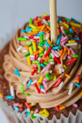 Fototapeta na wymiar Colourful sugar tiny things on a chocolate muffin