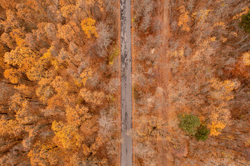 Aerial view from road between trees