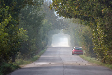 Old asphalt road in autumn forest