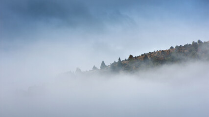 Mist covering an autumn forest in the morning.