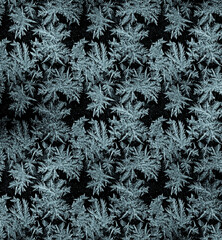 Frostwork pattern ice crystals on black background. Dark surface with abstract ice structure makes to overlay or add a frost effect. Frost on the glass, the effect of freezing
