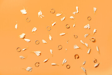 Stylish jewelry and flower petals on color background