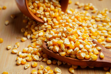 dried corn seeds in wooden bowl and wooden spoon on white background.
