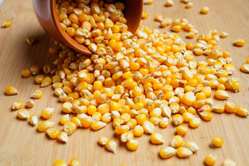 dried corn seeds in bowl on white background.