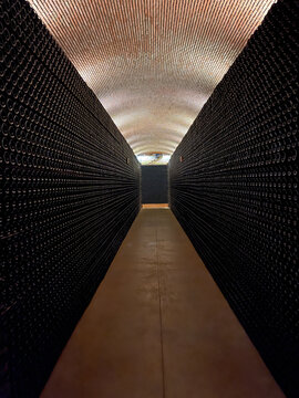 Botellas en bodega de vino
