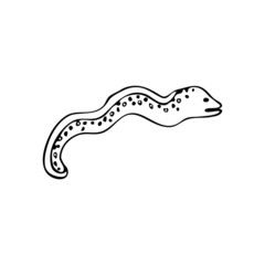 Doodle sea snake, moray eel fish. Inhabitant of the coral reef. Animal of the ocean, seabed, oceanarium. Hand drawn thin line art vector illustration. Isolated simple element.