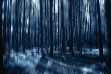 forest spring blurred background blue, abstract view in park nature seasonal