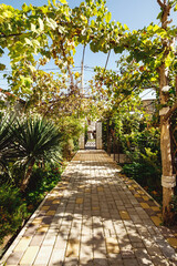 tiled path in the garden against the backdrop of greenery