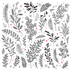 Floral doodle rustic design elements. Sketch and line boho plants. Vector botanical collection of branches and flowers for DIY projects, invitations, cards.
