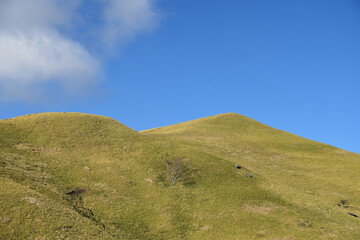 Grassy mountain against blue Sky.