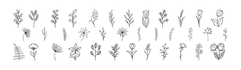 Vector set of doodle flower and leaf elements. Autumn and spring collection. Floral graphic design. Herbs, berries and wildflowers. Hand drawn vector botany set. modern autumn seasonal decor