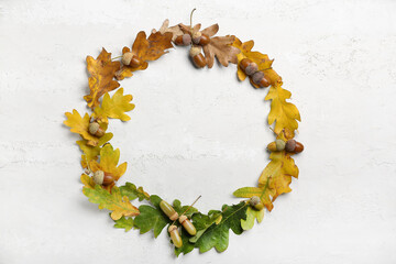Frame made of different oak tree leaves and acorns on light background © Pixel-Shot