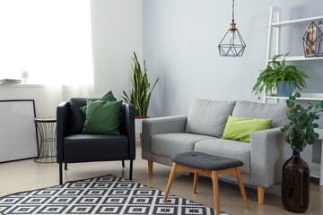 Interior of modern living room with armchair, sofa and houseplants