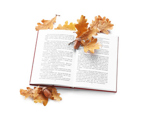 Naklejka na ściany i meble Open book with dried oak leaves and acorns on white background
