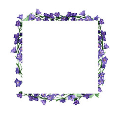 Flower.Pulsatilla patens.Square frame.Wildflowers frame.Hand-painted illustration.