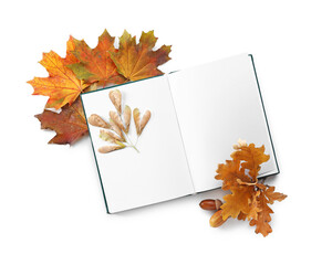 Blank book and autumn leaves on white background